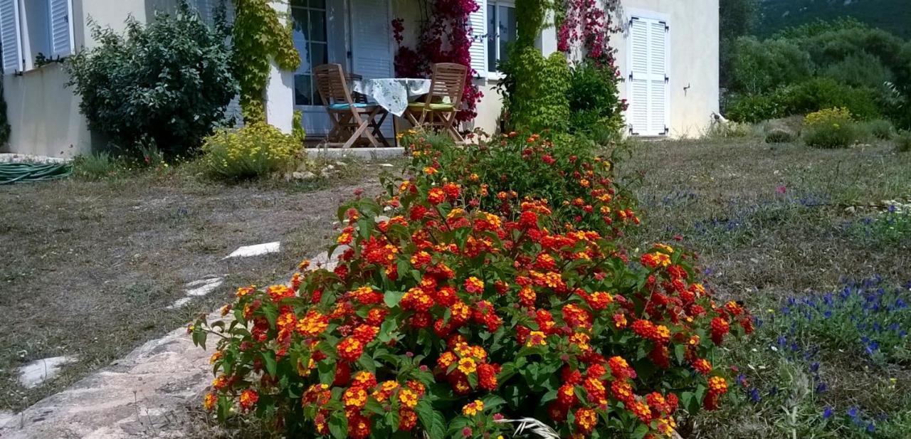 Villa Kalliste à Sartène Extérieur photo